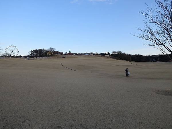 IMG_1771.JPG