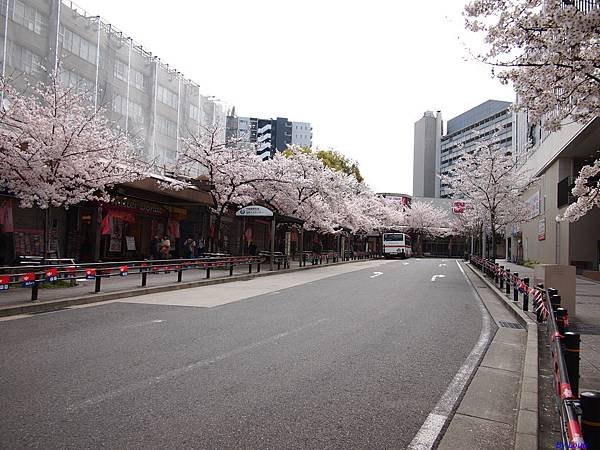 P4030146.jpg