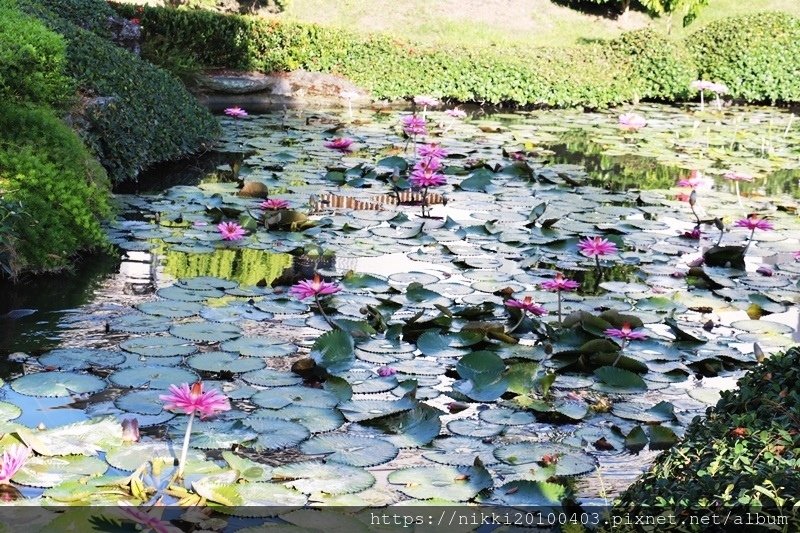 花蓮统茂渡假莊園 (103).JPG