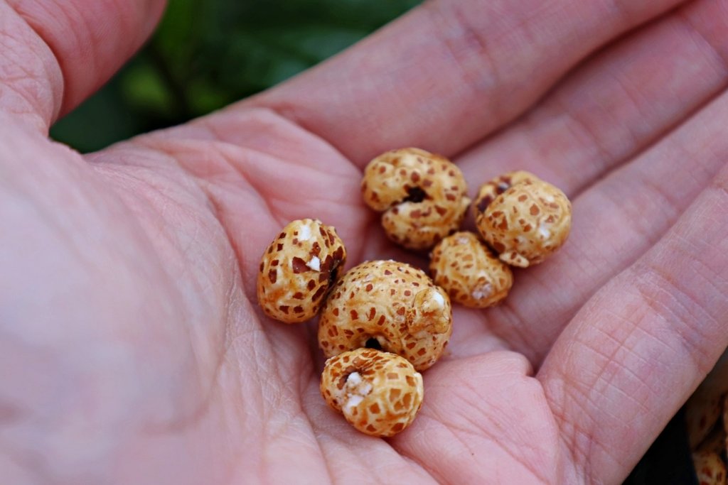 蹦！穀物｜薏米花 海鹽、黑糖、海苔口味 健康與美味兼具