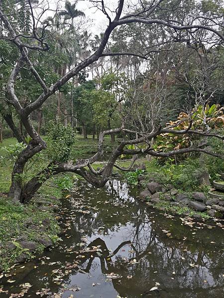 【台北】中正〉台北植物園