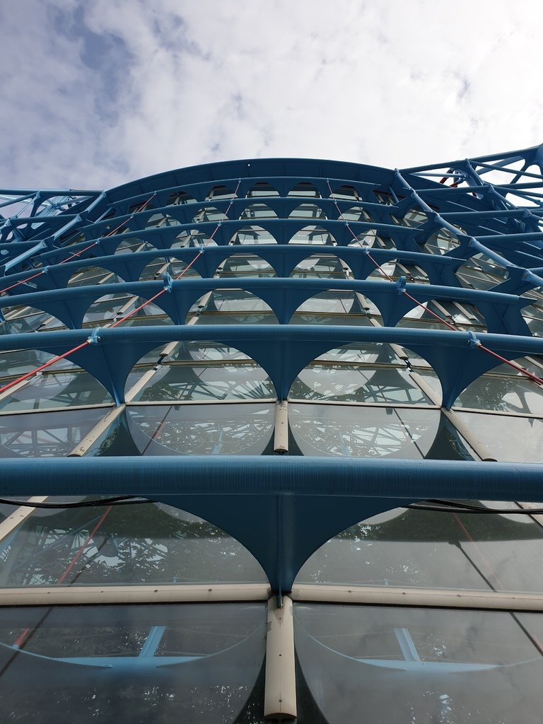 【台中】北區〉國立自然科學博物館植物園：熱帶雨林溫室