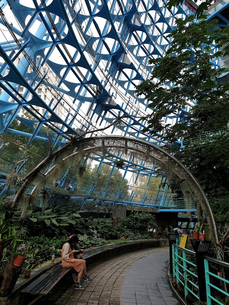 【台中】北區〉國立自然科學博物館植物園：熱帶雨林溫室