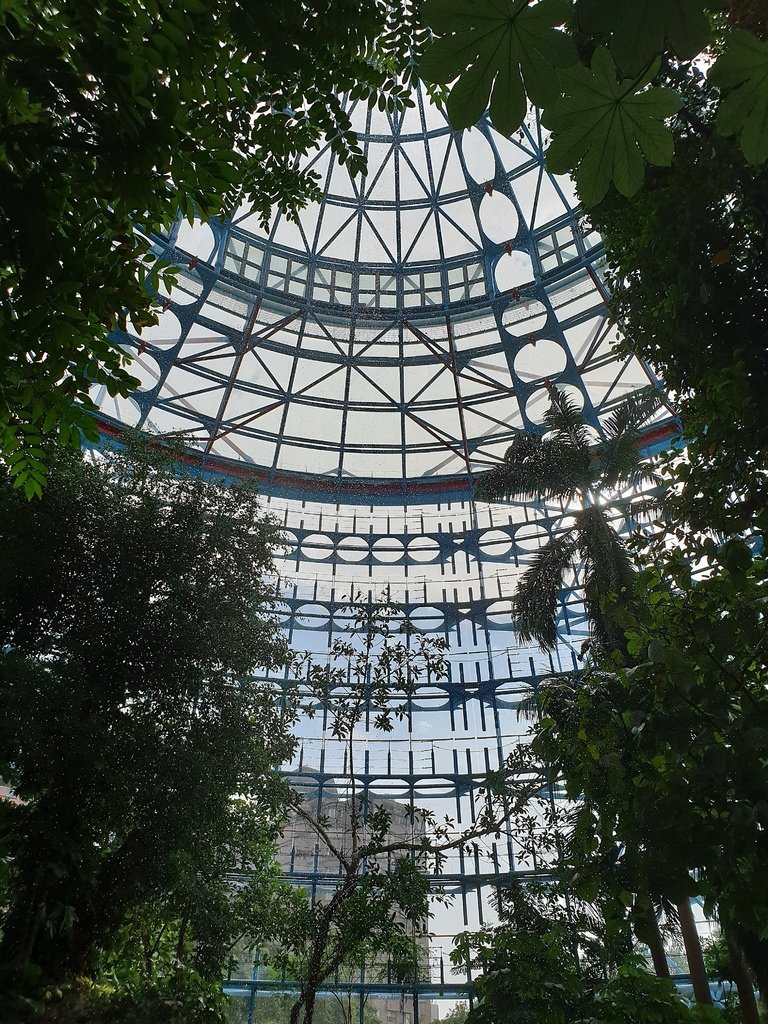 【台中】北區〉國立自然科學博物館植物園：熱帶雨林溫室