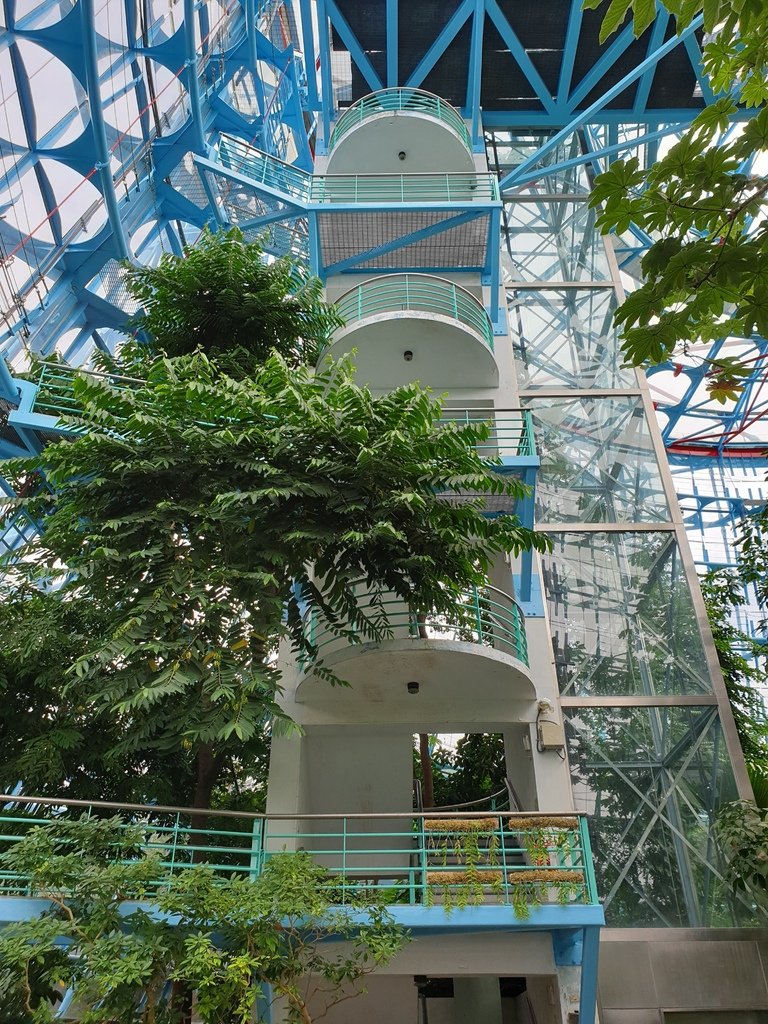 【台中】北區〉國立自然科學博物館植物園：熱帶雨林溫室