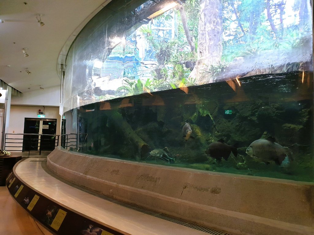 【台中】北區〉國立自然科學博物館植物園：熱帶雨林溫室