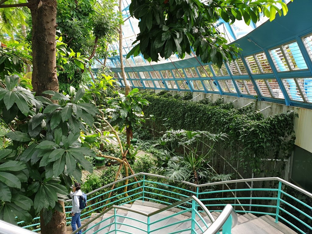 【台中】北區〉國立自然科學博物館植物園：熱帶雨林溫室