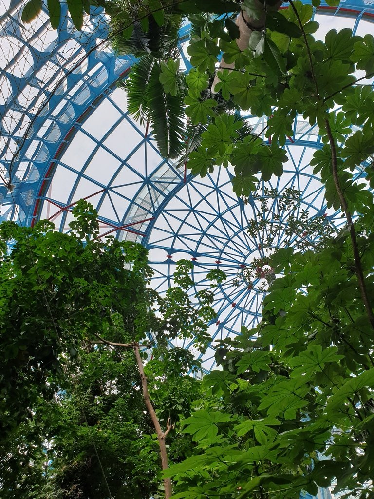 【台中】北區〉國立自然科學博物館植物園：熱帶雨林溫室