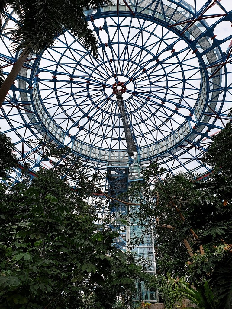 【台中】北區〉國立自然科學博物館植物園：熱帶雨林溫室