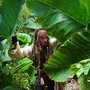 [電影介紹] 神鬼奇航4: 幽靈海 Pirates of the Caribbean: On Stranger Tides