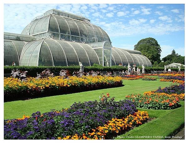 英國旅遊｜倫敦皇家植物園【邱園】Kew Gardens