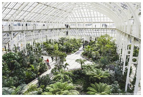 英國旅遊｜倫敦皇家植物園【邱園】Kew Gardens