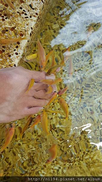 20160621_141913.jpg