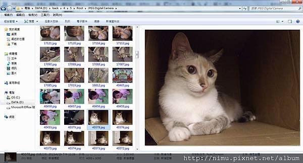 09.jpg