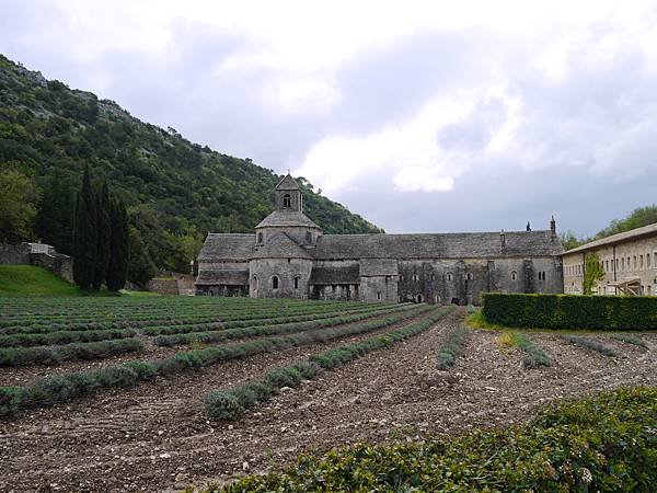 薰衣草修道院ABBAYE DE SENANQNE