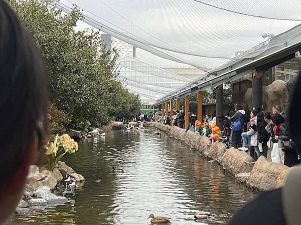神戶動物王國，一間很小但可以待很久的景點