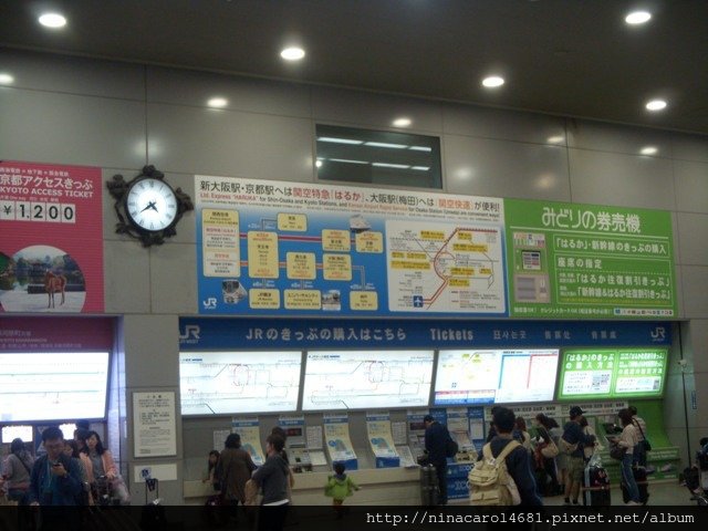 DSCN8339.JPG