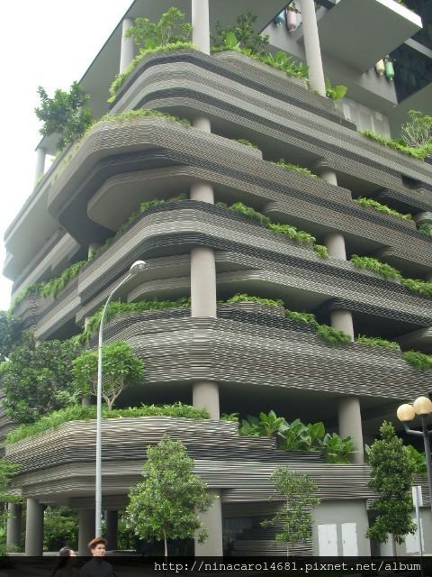 DSCN7605.JPG