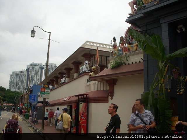 DSCN7641.JPG
