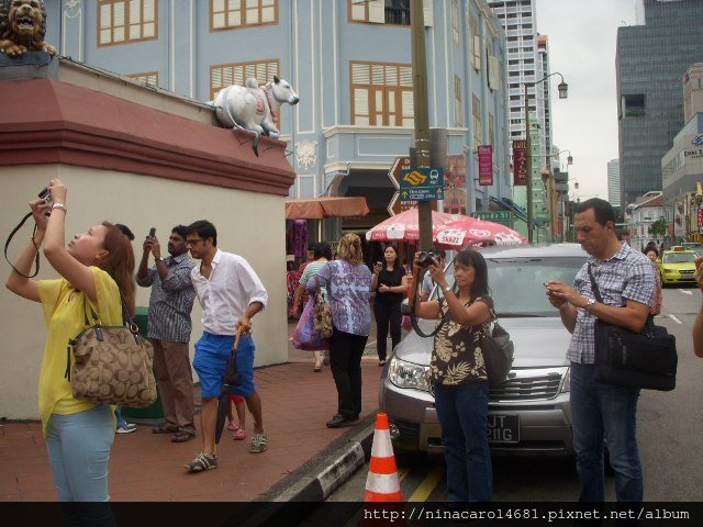 DSCN7642.JPG