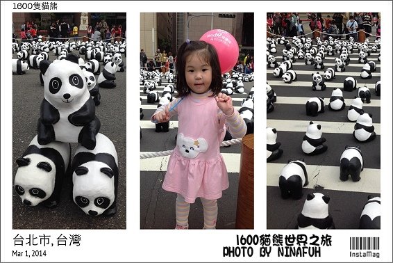 IMG_4286.tsp .jpg