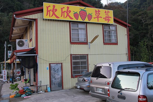 欣欣草莓園