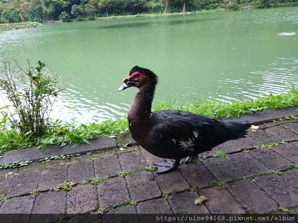 20190918 Crystal 幾米公園、廣場、愛情轉運站、宜蘭故事館_190924_0326.jpg