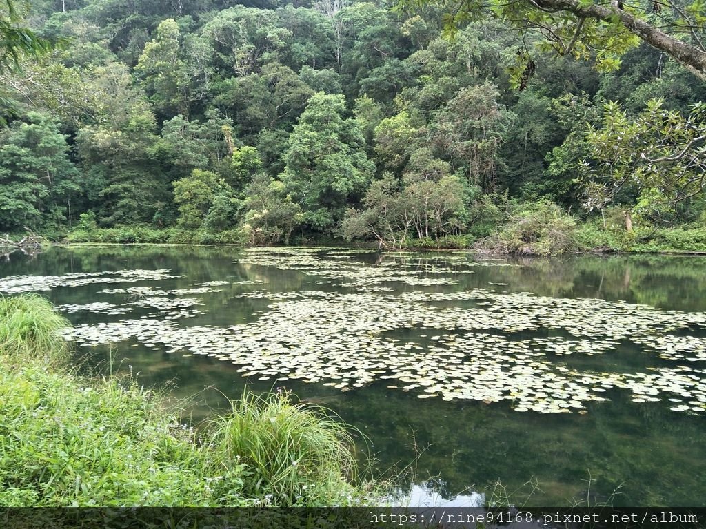 20190919 Yoko福山植物園、香草菲菲、養蜂人家、清水地熱_190924_0004.jpg