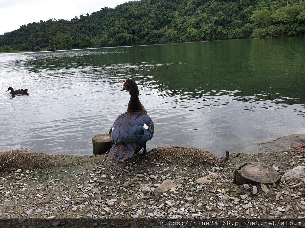 1080920 清水公園、林文化園區、廣興農場_190924_0355.jpg