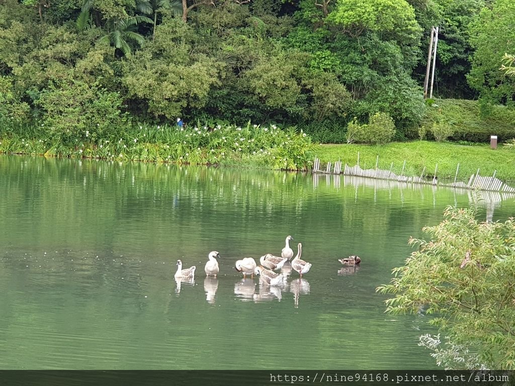 1080920 清水公園、林文化園區、廣興農場_190924_0369.jpg