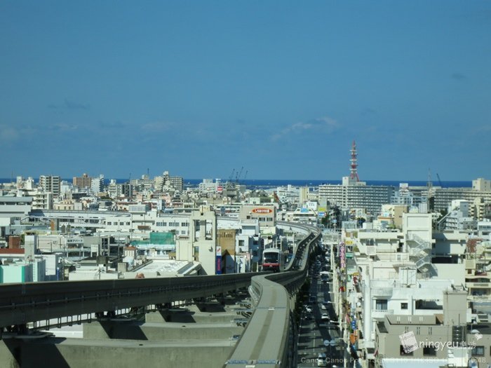IMG_8650.JPG