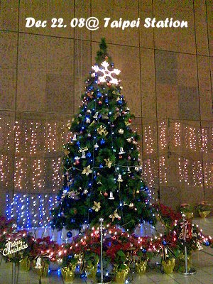08Xmas tree.jpg