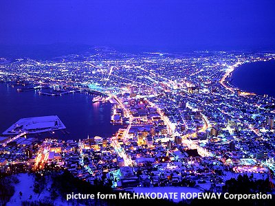 hakodate night.jpg