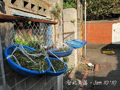 台北角落-3.jpg