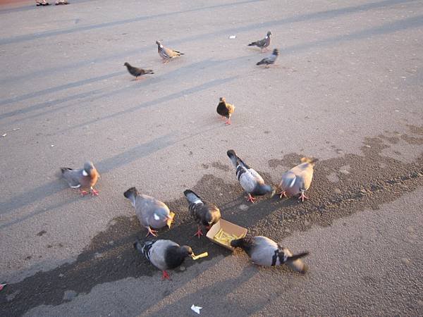 IMG_3662_2.JPG