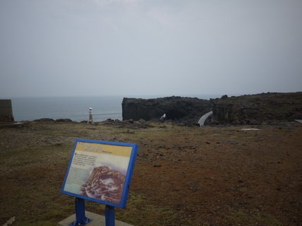 P1000175_調整大小.JPG