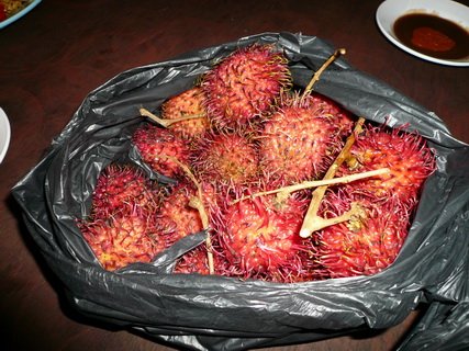 P1000263_調整大小.JPG
