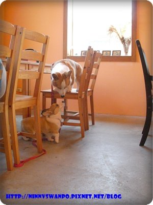DSCN2362.JPG