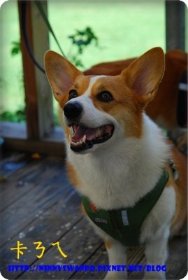DSC_3901.JPG