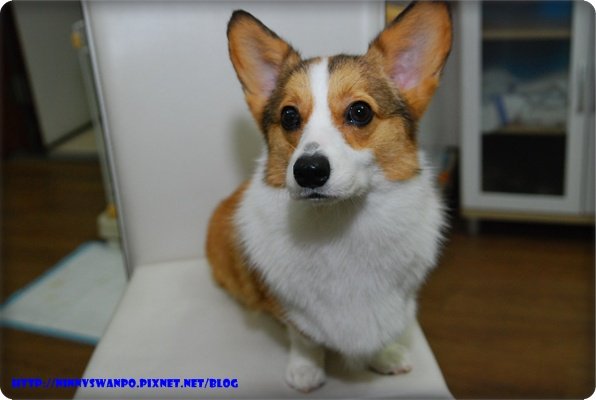 DSC_5596.JPG