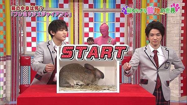 20140406 SK-31