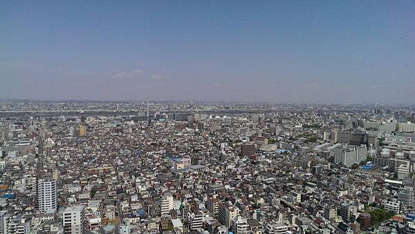 IMAG0457.jpg