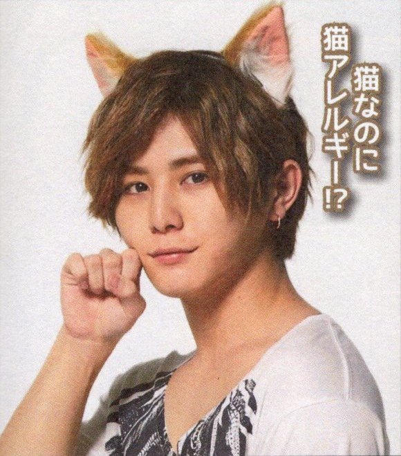 201606 POTATO HSJ-03.jpg