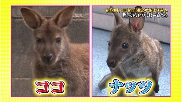 20160604 zoo-19.jpg