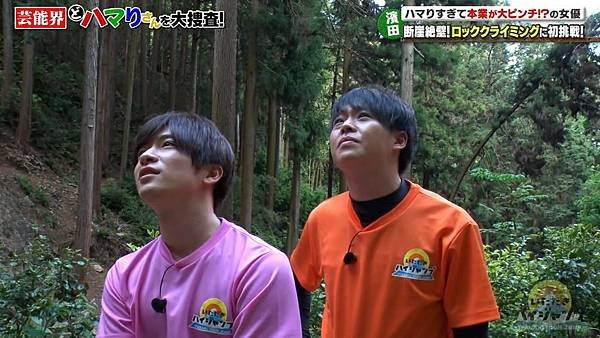 20190608 HJ-99_18.jpg