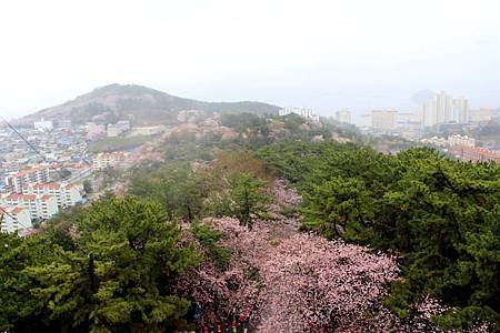 帝皇山公園