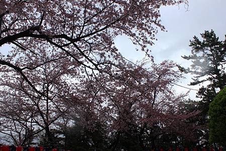 帝皇山公園