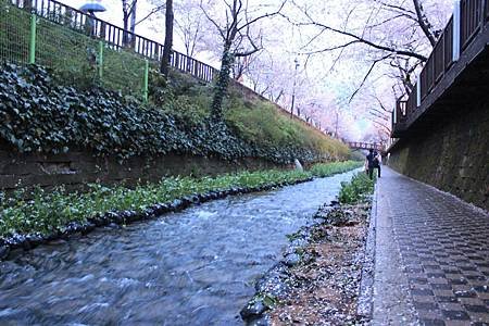 余佐川