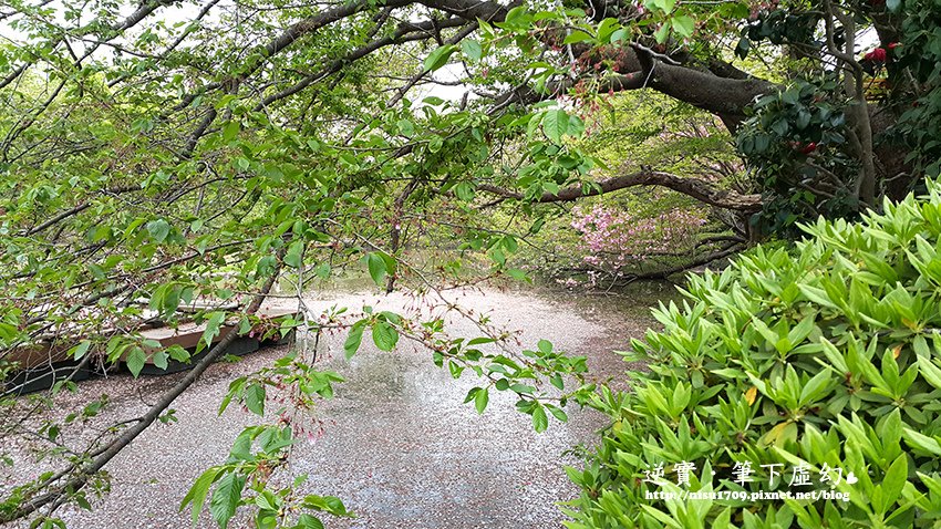 20180407_135124.jpg