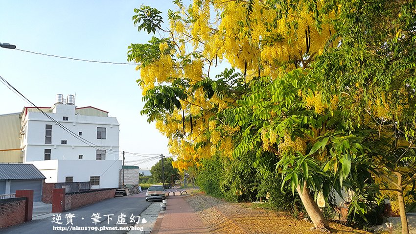 20180602_172754.jpg